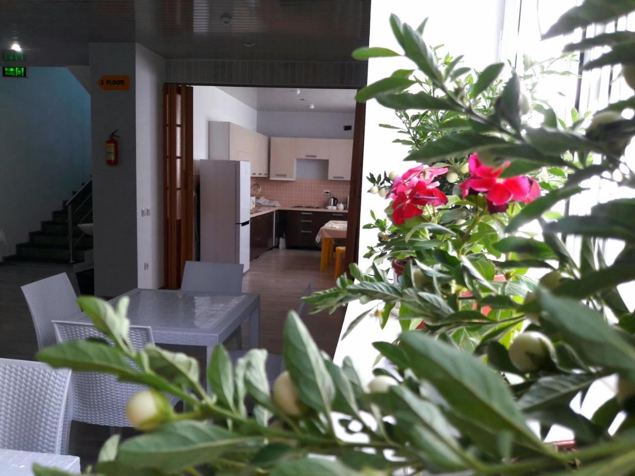 Jules Verne Hostel Τασκένδη Εξωτερικό φωτογραφία
